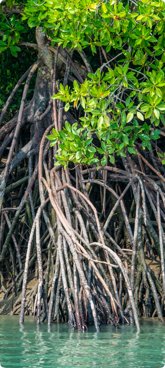 Block-Mar-20-2026-12-19-57-7920-PM